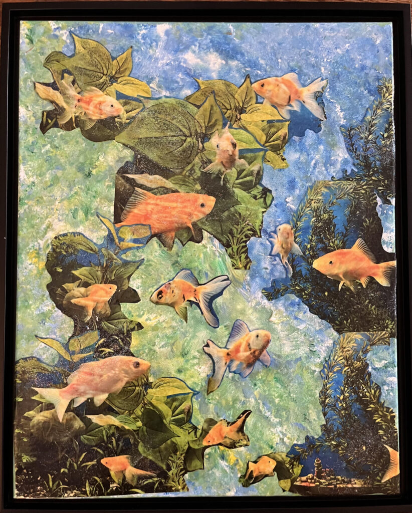 Collage with many goldfish swimming in water. 